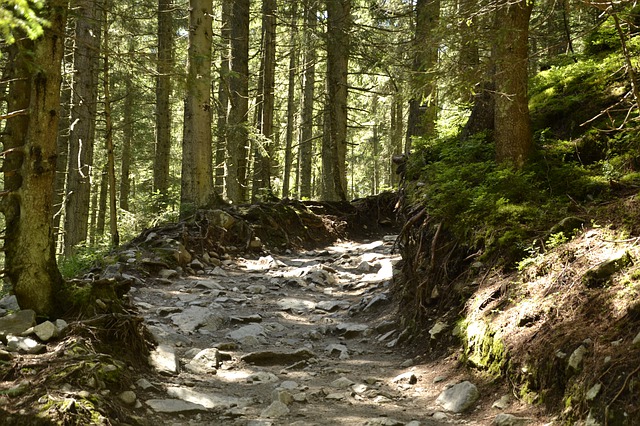 Magiczne Zakopane